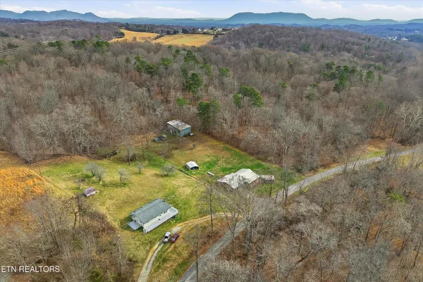 a view of a dry yard with mountain and trees