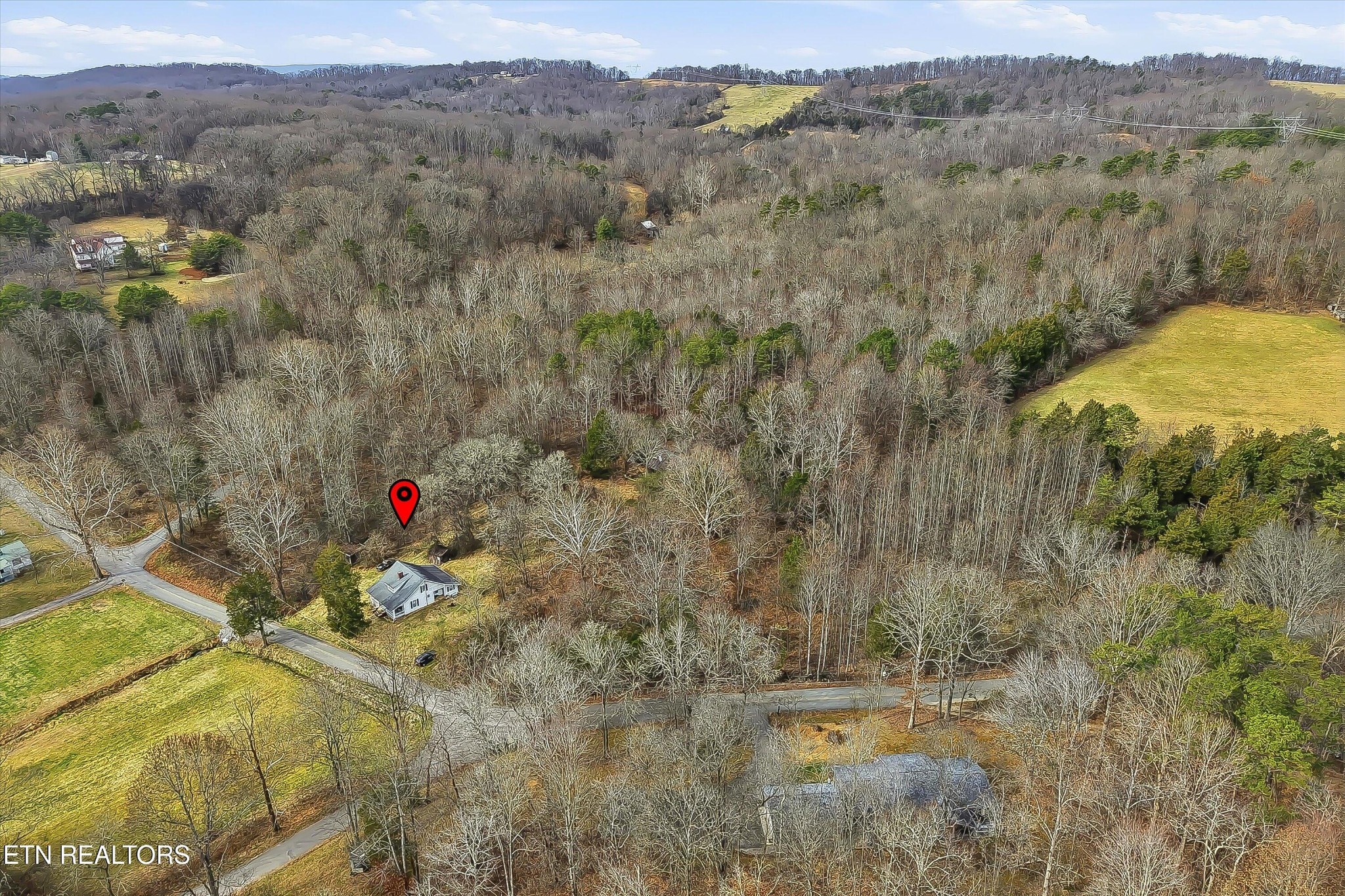 7809 Wood Road Corryton, TN 37721 - Photo 48 of 49 a view of a dry yard