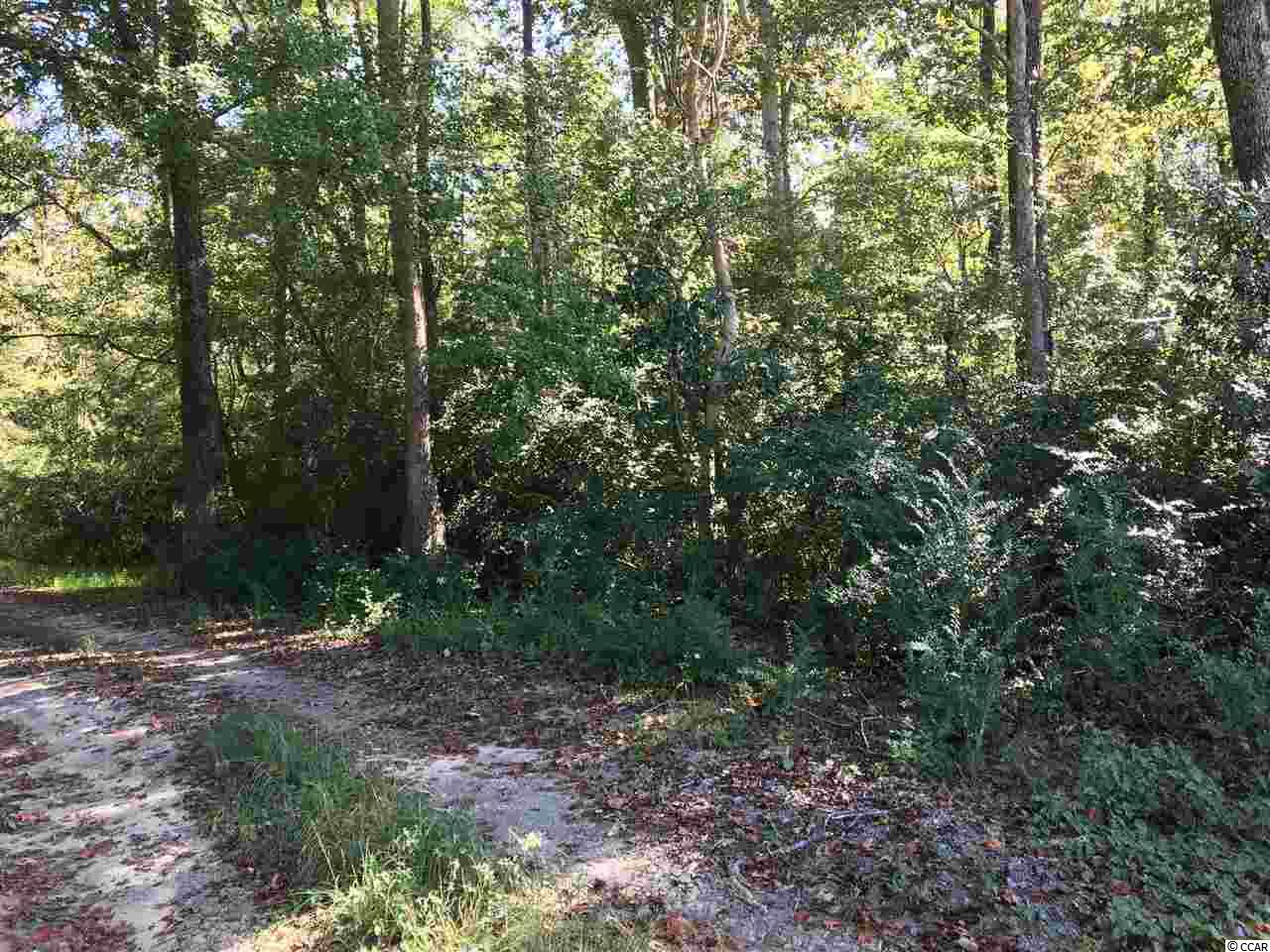 1 Muddy Creek Road Hemingway, SC 29554 - Photo 2 of 7