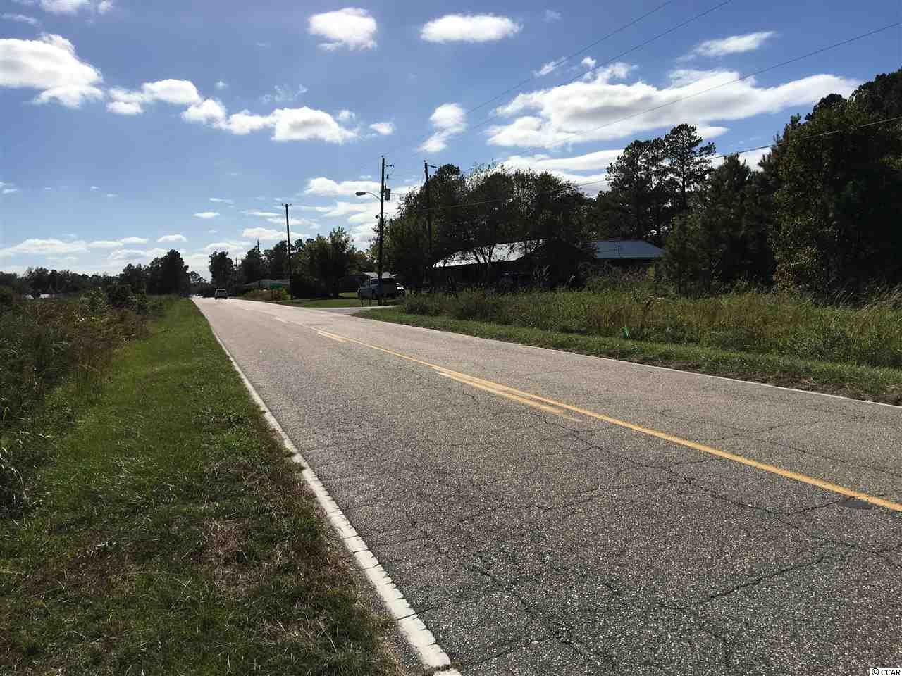 1 Muddy Creek Road Hemingway, SC 29554 - Photo 5 of 7