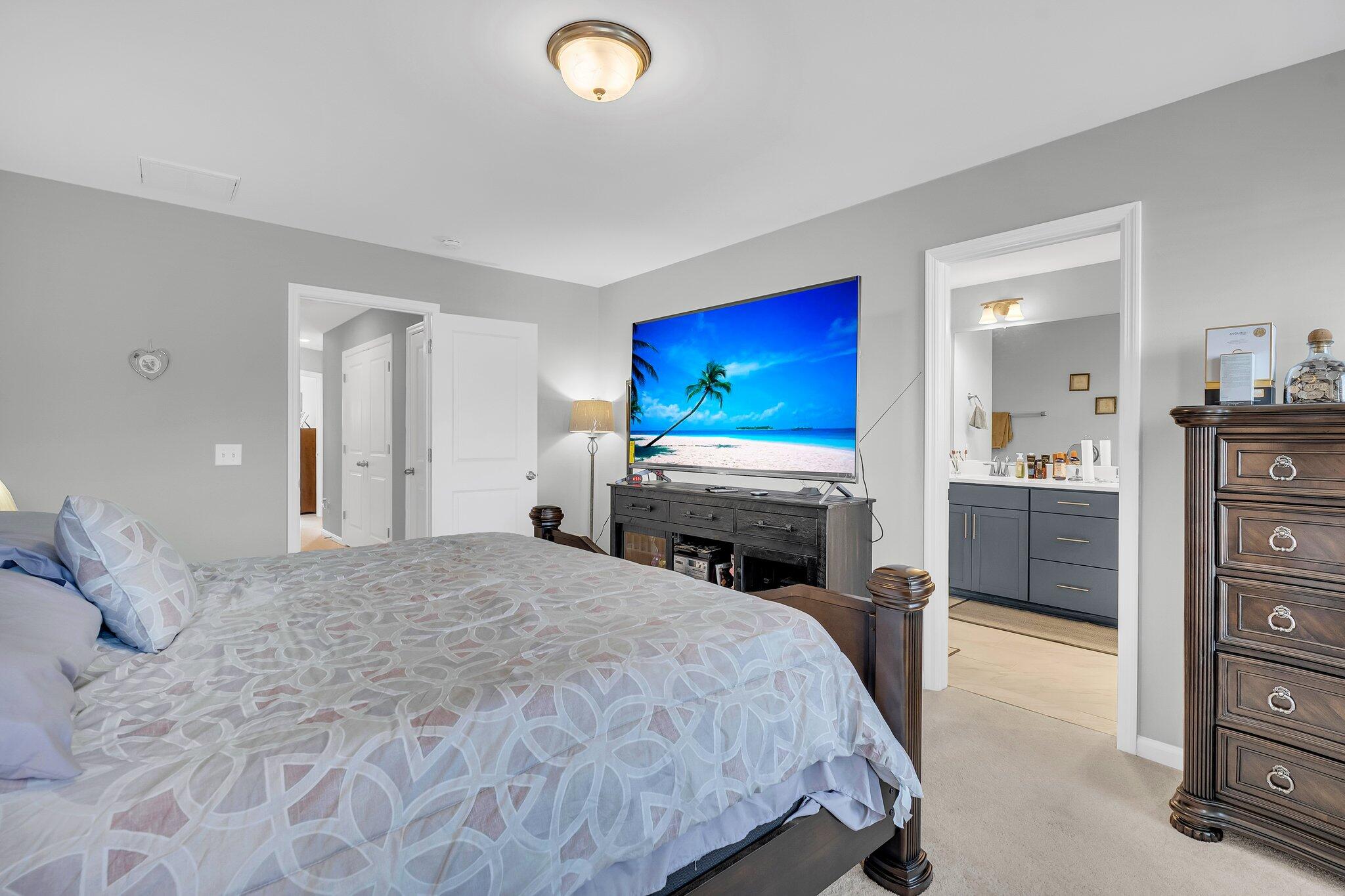 396 Painted Lady Lane Goose Creek, SC 29445 - Photo 15 of 28 CREM - 396 Painted Lady Ln-24