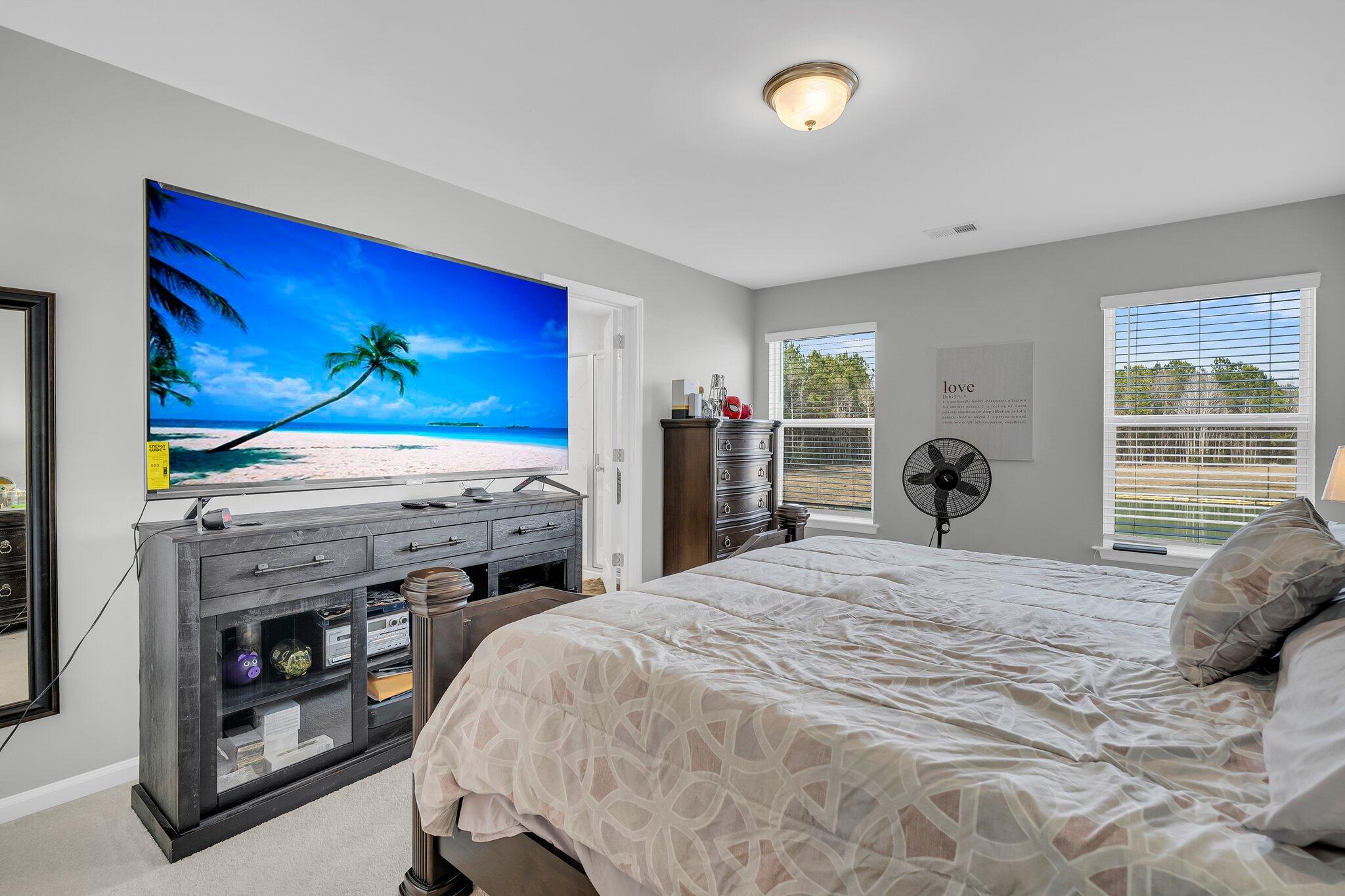 396 Painted Lady Lane Goose Creek, SC 29445 - Photo 16 of 28 CREM - 396 Painted Lady Ln-25