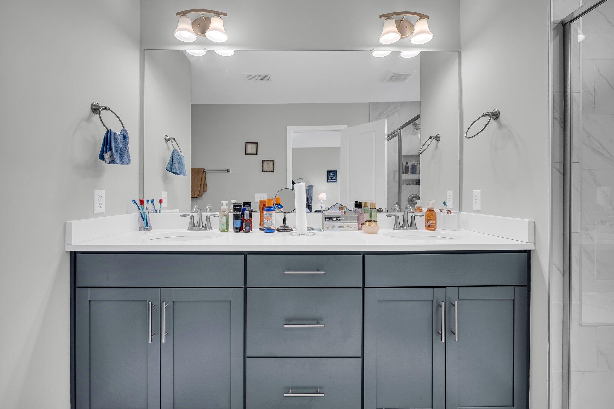 396 Painted Lady Lane Goose Creek, SC 29445 - Photo 17 of 28 CREM - 396 Painted Lady Ln-27