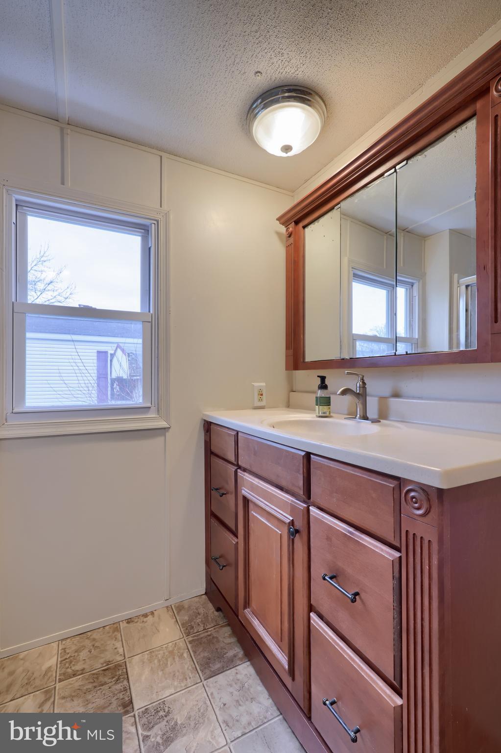 123 Ridgewood Manor Manheim, PA 17545 - Photo 17 of 25 a bathroom with a sink and a mirror