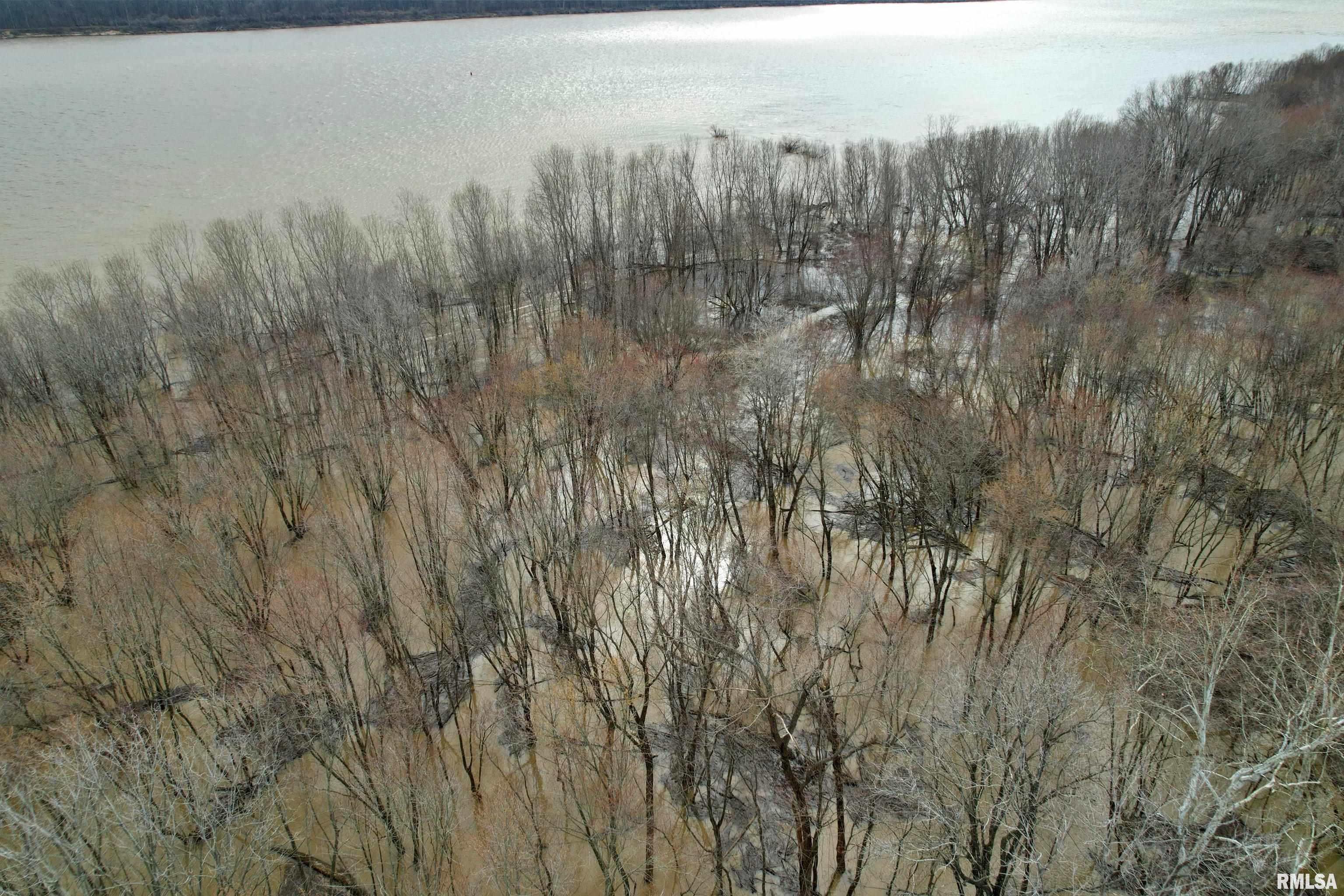 Tbd Hamletsburg Road Brookport, IL 62910 - Photo 11 of 11