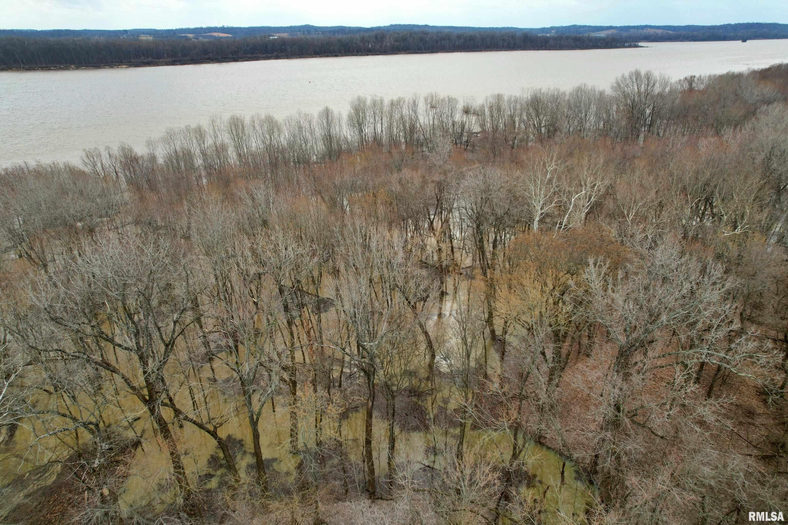 Tbd Hamletsburg Road Brookport, IL 62910 - Photo 2 of 11