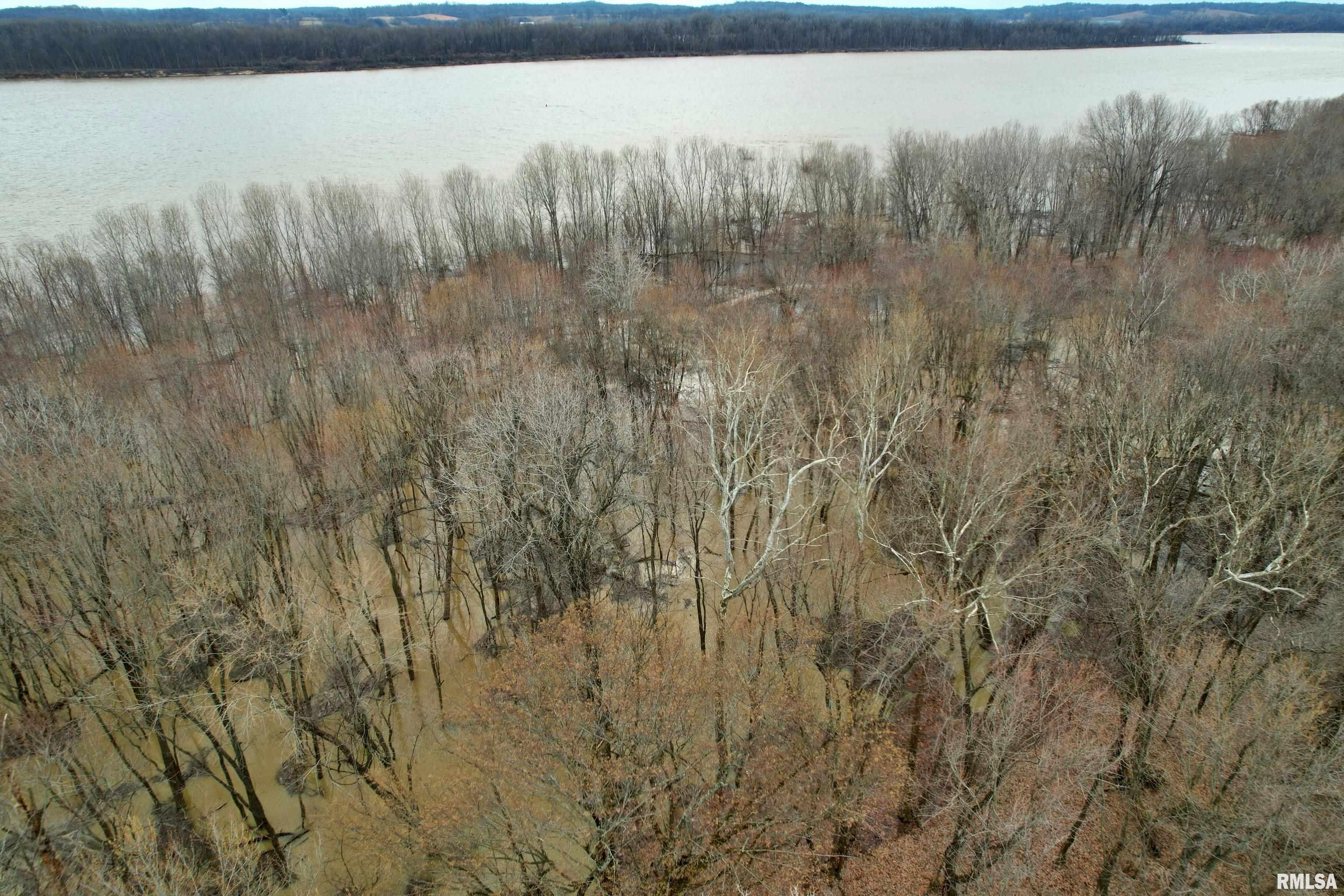 Tbd Hamletsburg Road Brookport, IL 62910 - Photo 3 of 11