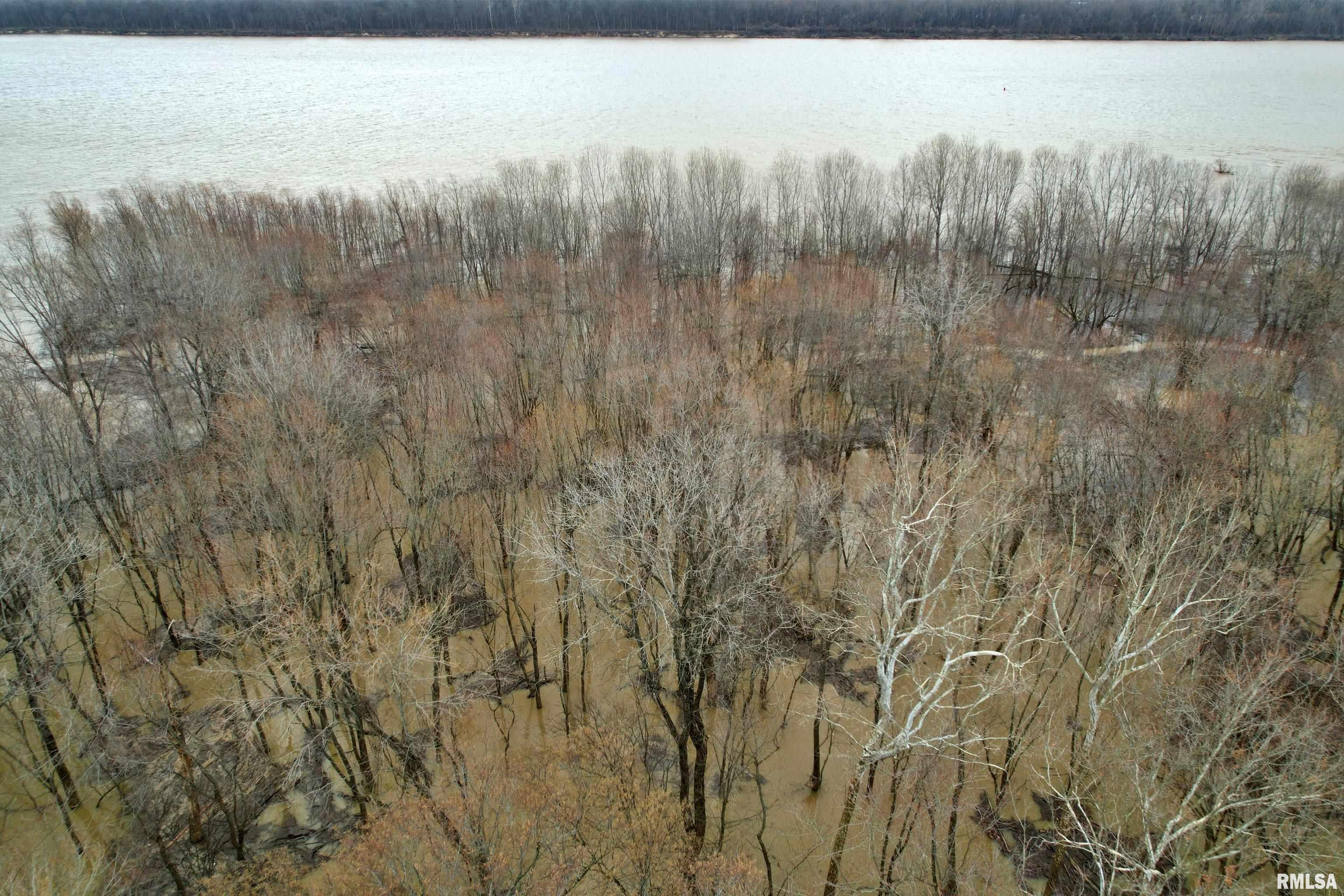 Tbd Hamletsburg Road Brookport, IL 62910 - Photo 4 of 11