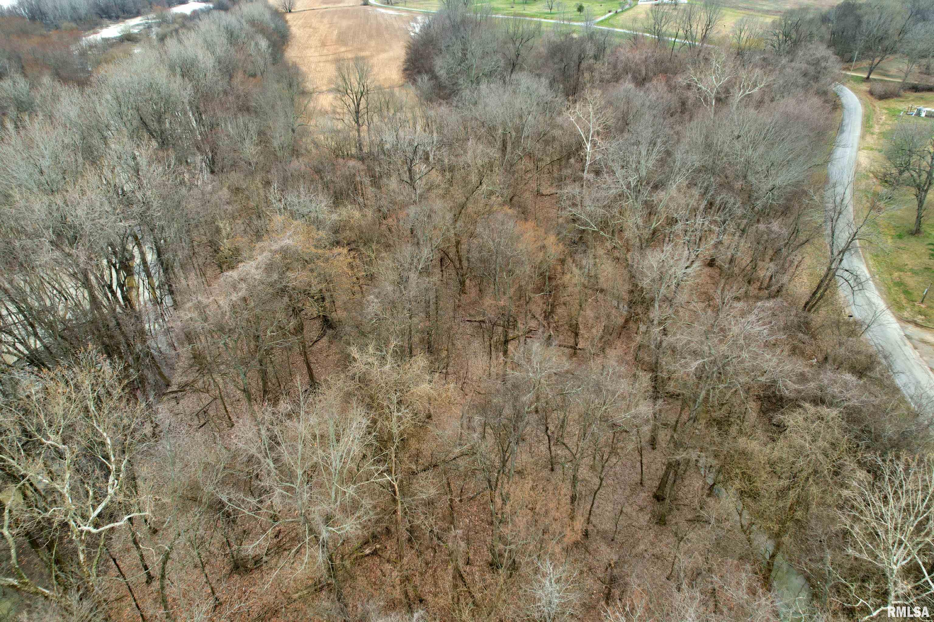 Tbd Hamletsburg Road Brookport, IL 62910 - Photo 5 of 11