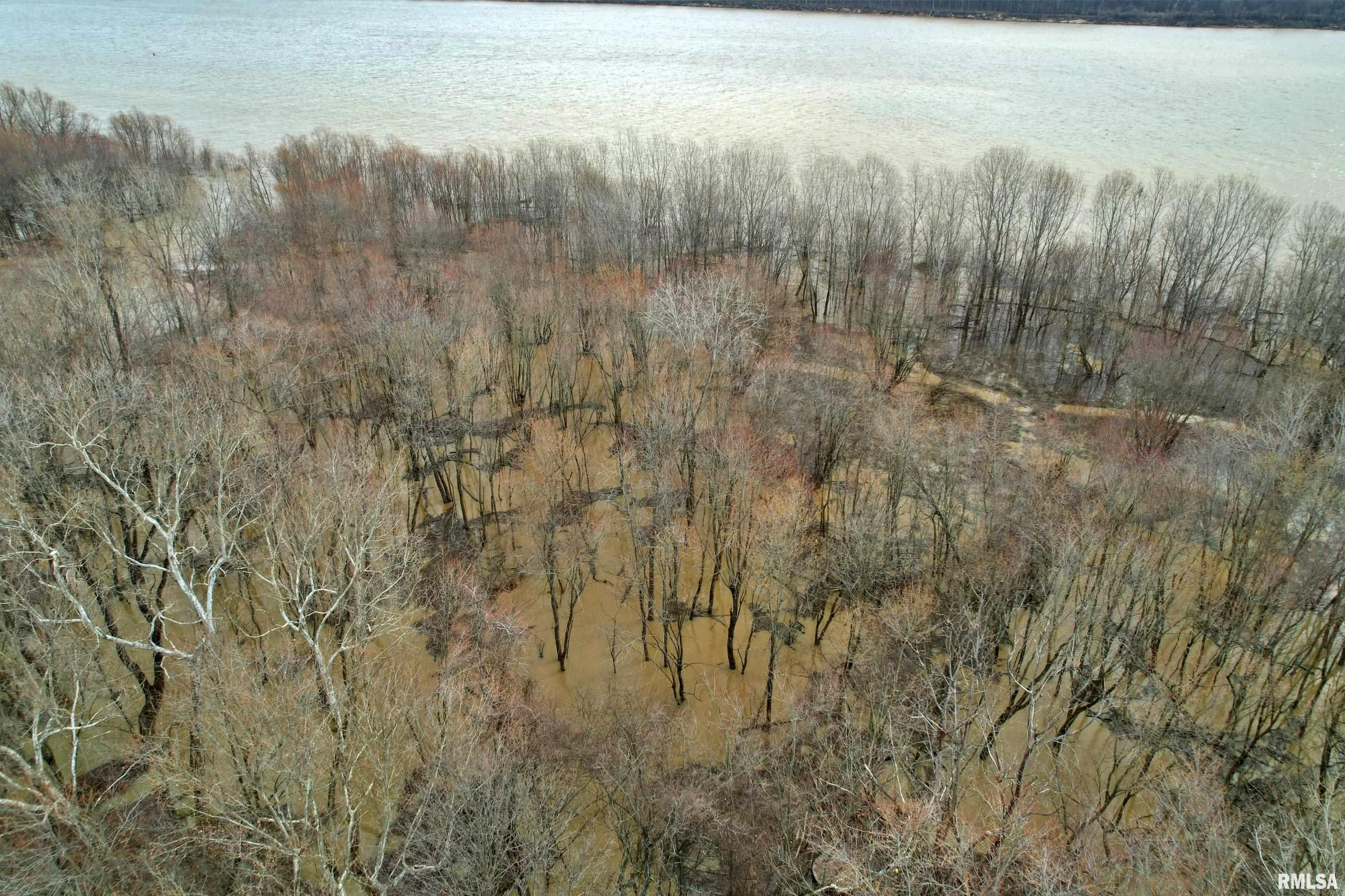 Tbd Hamletsburg Road Brookport, IL 62910 - Photo 9 of 11