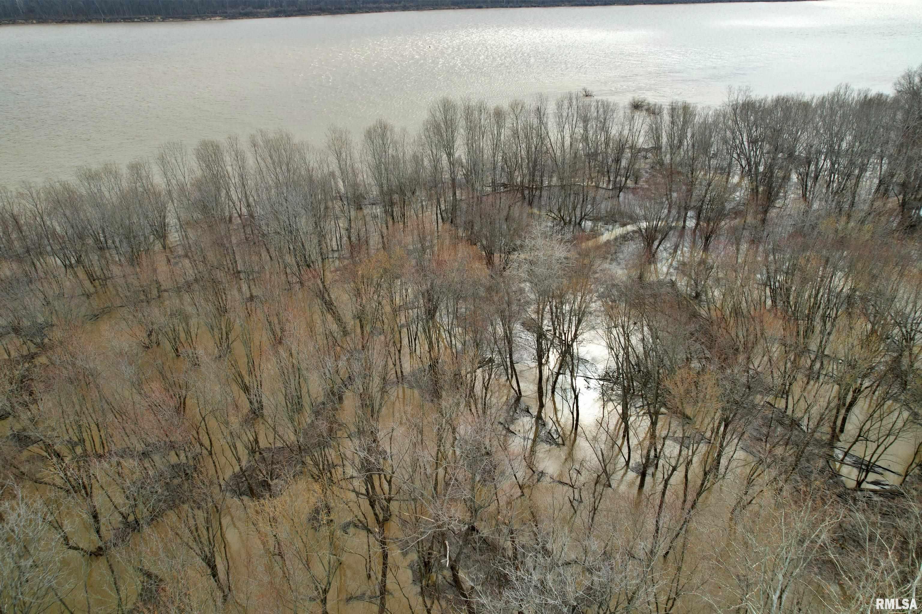 Tbd Hamletsburg Road Brookport, IL 62910 - Photo 10 of 11