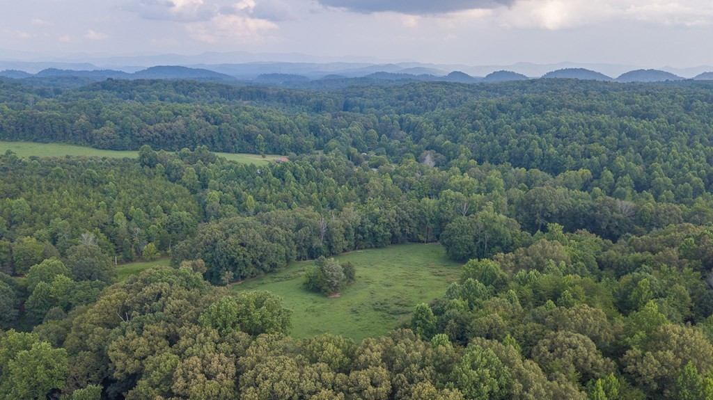 0 Hickory Grove Road Madisonville, TN 37354 - Photo 12 of 32 Gallery Image 12