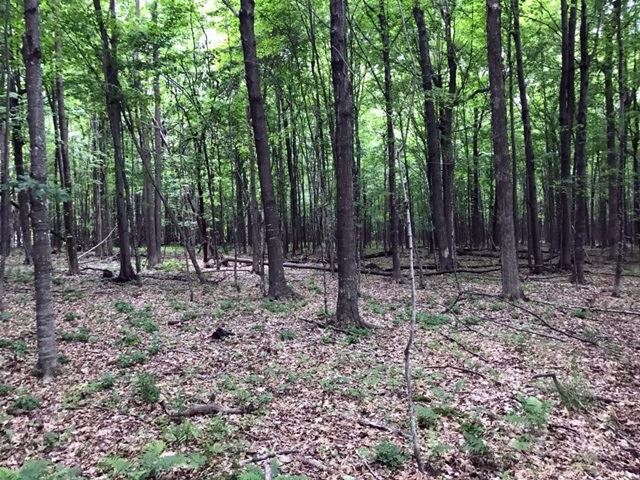 Lot 8 County Rd V Marshfield, WI 54449 - Photo 1 of 1