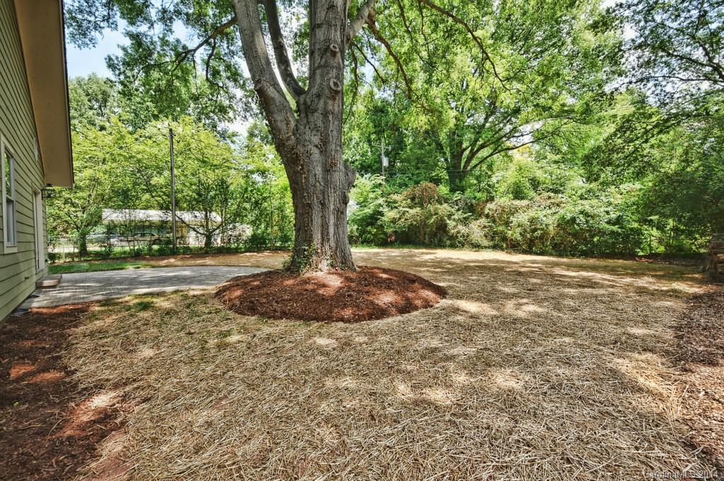 3827 Park Road Charlotte, NC 28209 - Photo 24 of 24 Gallery Image 24