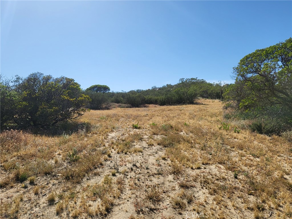 887 Forest Springs Road Aguanga, CA 92536 - Photo 3 of 35