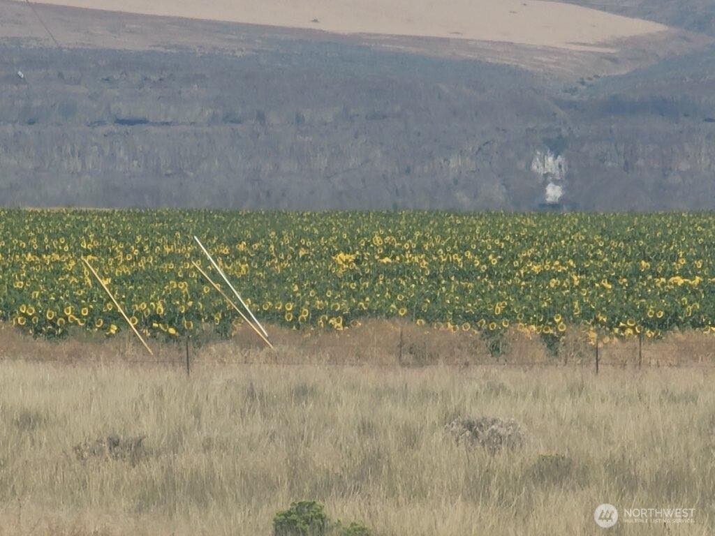 37761 L-NE Road Hartline, WA 99135 - Photo 40 of 40 a view of a garden