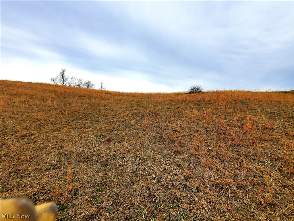 Kilgore Road Scio, OH 43988 - Photo 2 of 18 Gallery Image 2