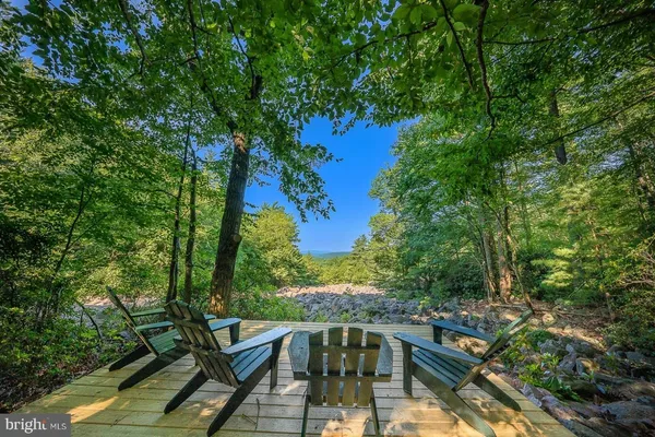 a view of a big yard