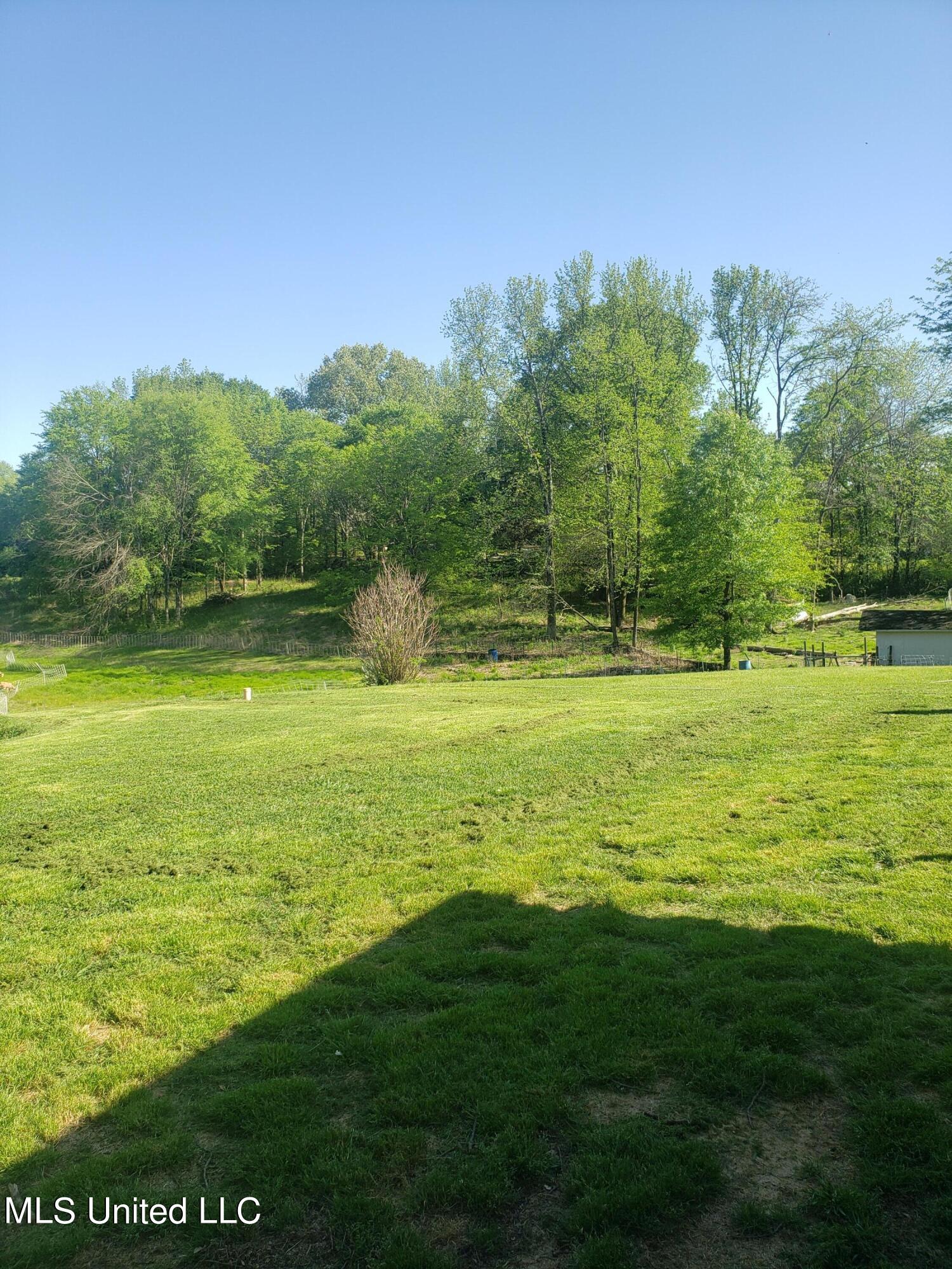 4540 Smith Road Hernando, MS 38632 - Photo 19 of 23 4