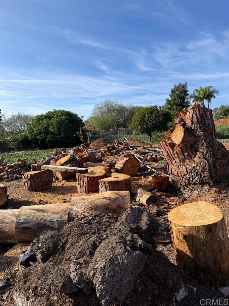 3536 Ybarra Road Spring Valley, CA 91978 - Photo 39 of 42 a view of outdoor space with patio and outdoor seating