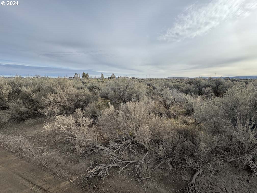Twighlight Road, Unit TL3900 Christmas Valley, OR 97641 - Photo 25 of 44 a view of a bunch of trees in a field