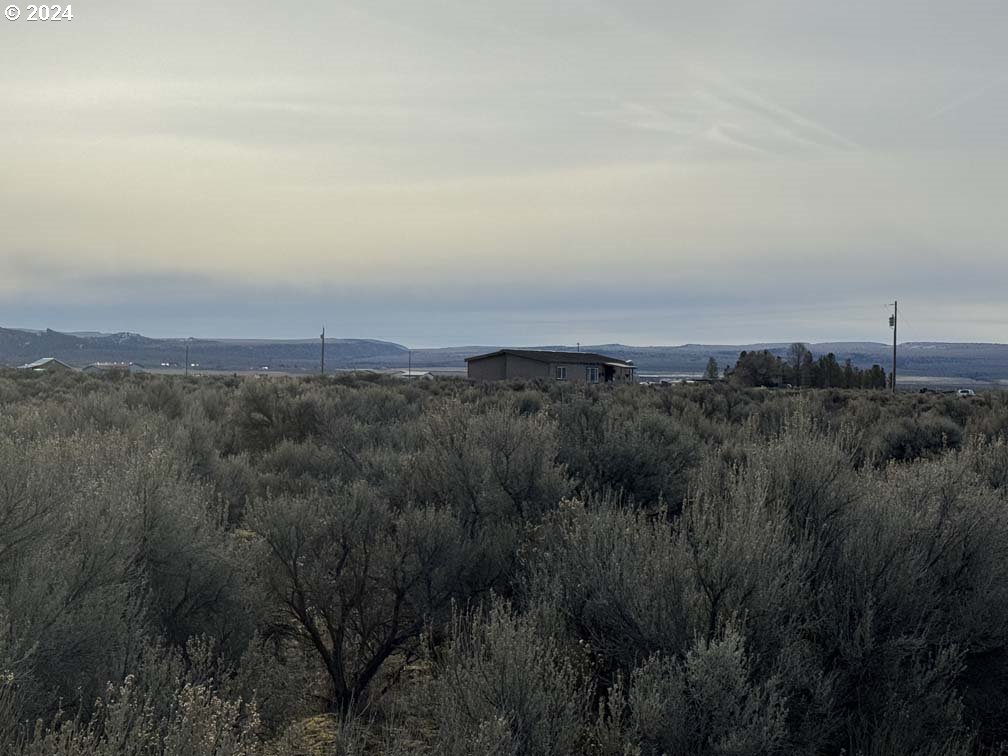 Twighlight Road, Unit TL3900 Christmas Valley, OR 97641 - Photo 27 of 44 a view of a field of trees and green space