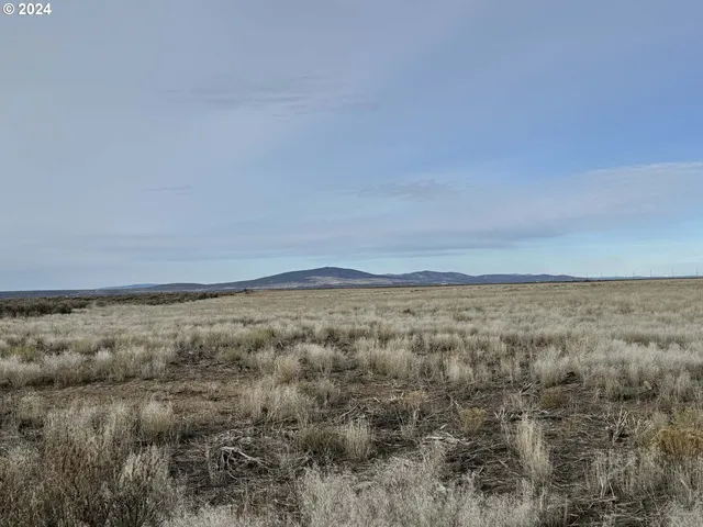 a view of a field of grass and trees