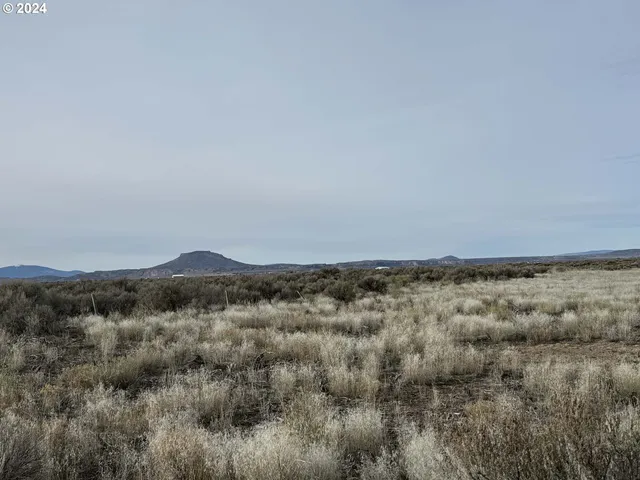 a view of a field with trees in background