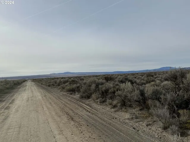 a view of a dry yard with trees and houses