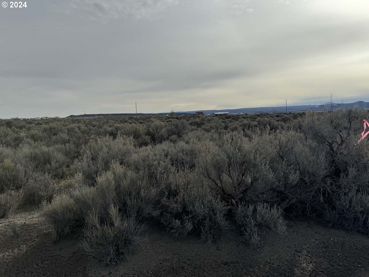 Twighlight Road, Unit TL3900 Christmas Valley, OR 97641 - Photo 37 of 44 a view of a field of grass and trees
