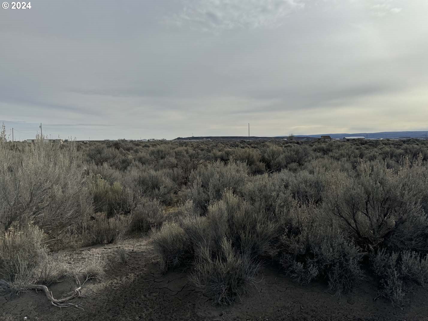 Twighlight Road, Unit TL3900 Christmas Valley, OR 97641 - Photo 38 of 44 a view of a field of grass and trees