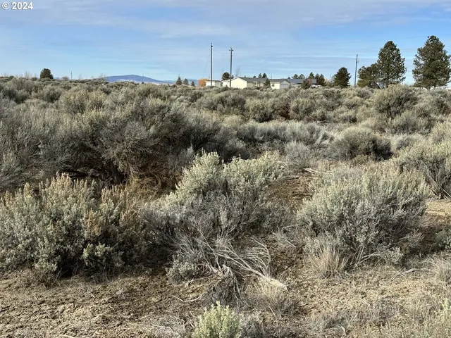 $14,500 | Twighlight Road, Unit TL3900, Christmas Valley, OR 97641