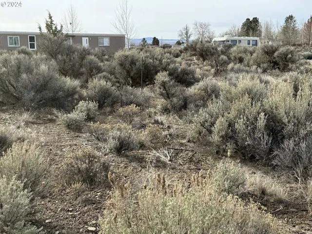 $14,500 | Twighlight Road, Unit TL3900, Christmas Valley, OR 97641