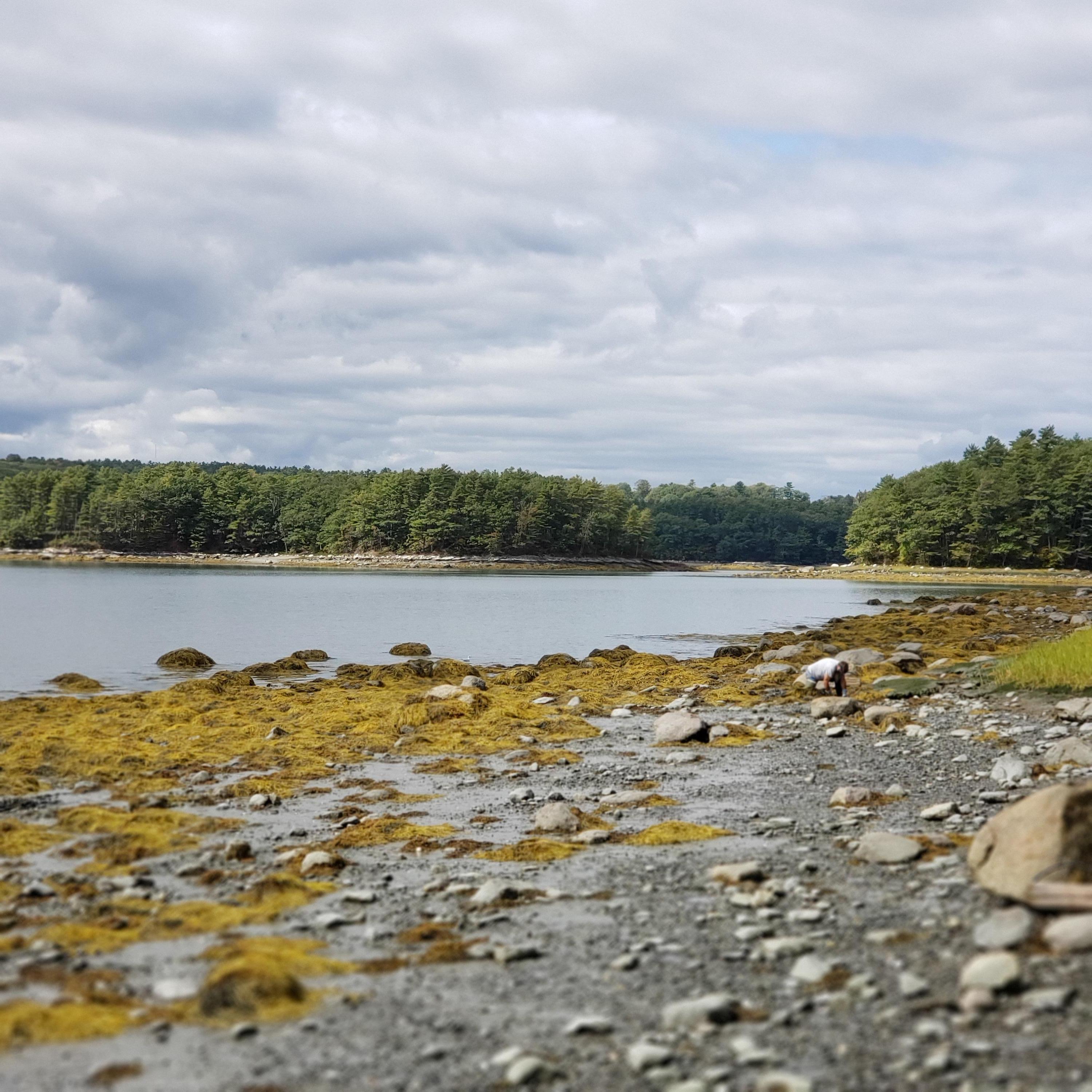 315 Bristol Road Damariscotta, ME 04543 - Photo 58 of 66 20190925_133357