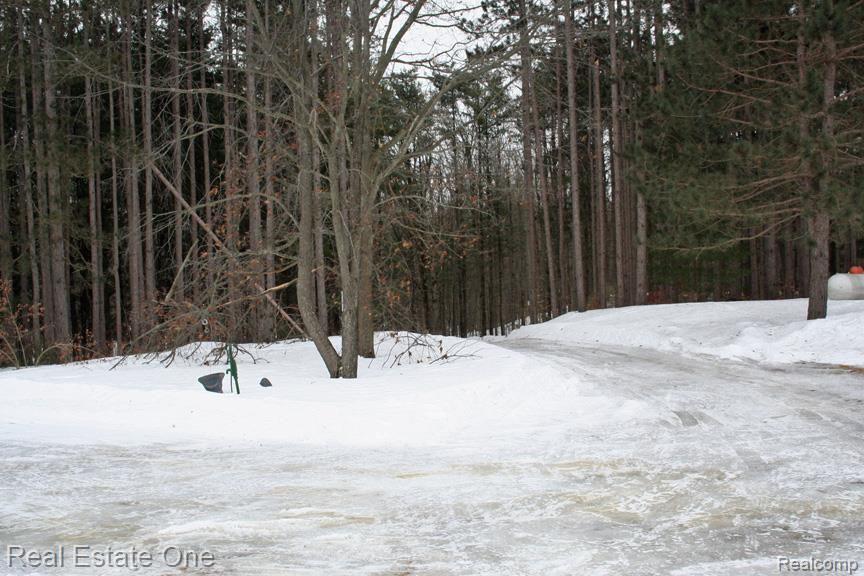 4092 Country Road Otter Lake, MI 48464 - Photo 20 of 23 Privacy from road - wooded driveway.jpg