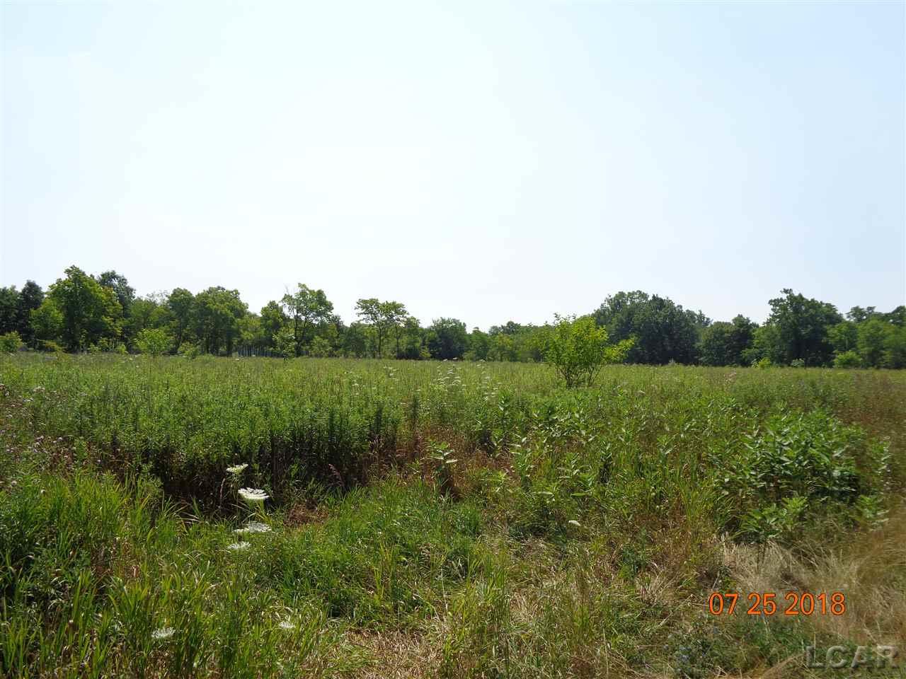 5000 Cadmus Road Adrian, MI 49221 - Photo 3 of 4