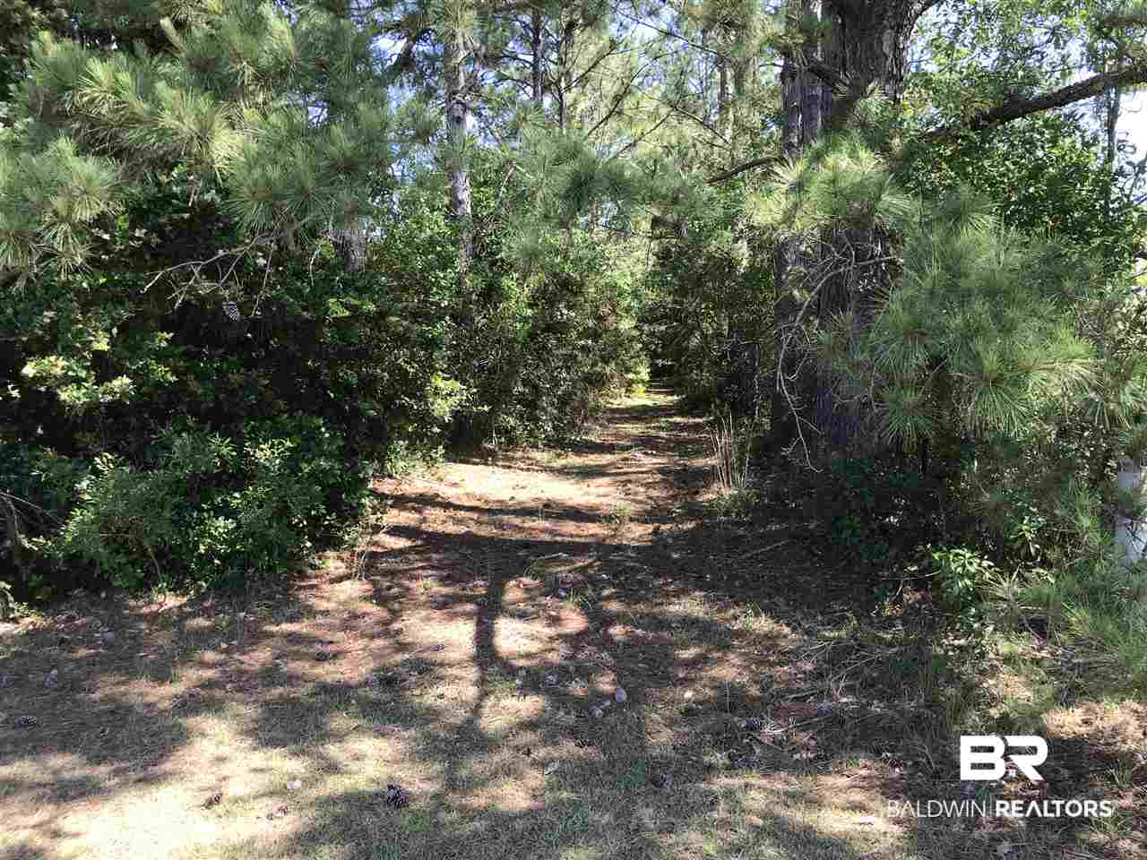 23390 Ryan Road Robertsdale, AL 36567 - Photo 12 of 21