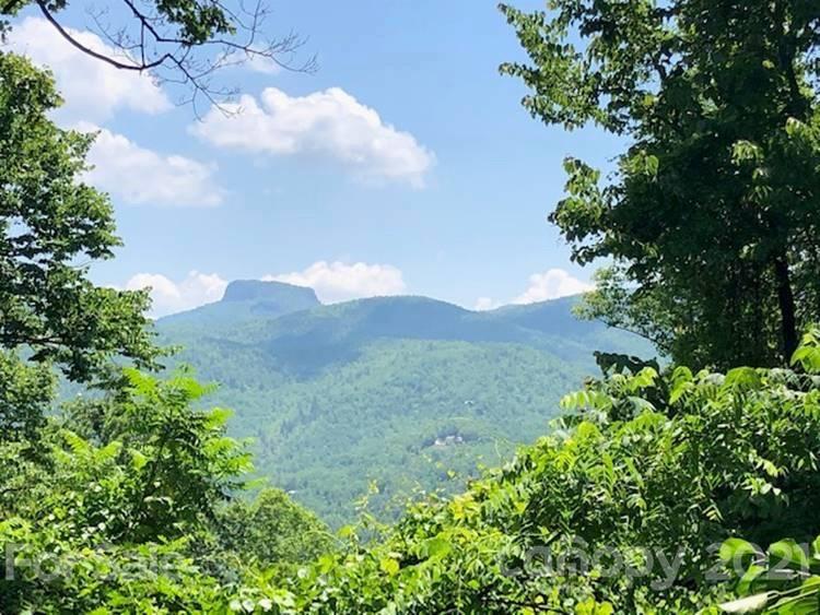 90 Clinchfield Gap Road Marion, NC 28752 - Photo 19 of 21 Gallery Image 19