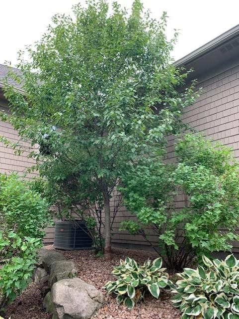 3673 Lerive Way Chaska, MN 55318 - Photo 57 of 65