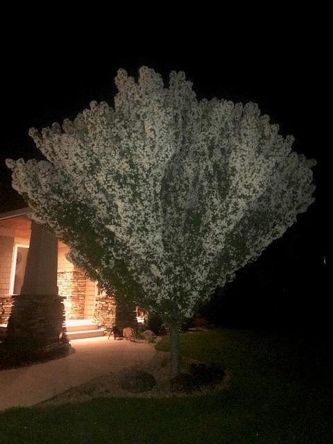 3673 Lerive Way Chaska, MN 55318 - Photo 59 of 65