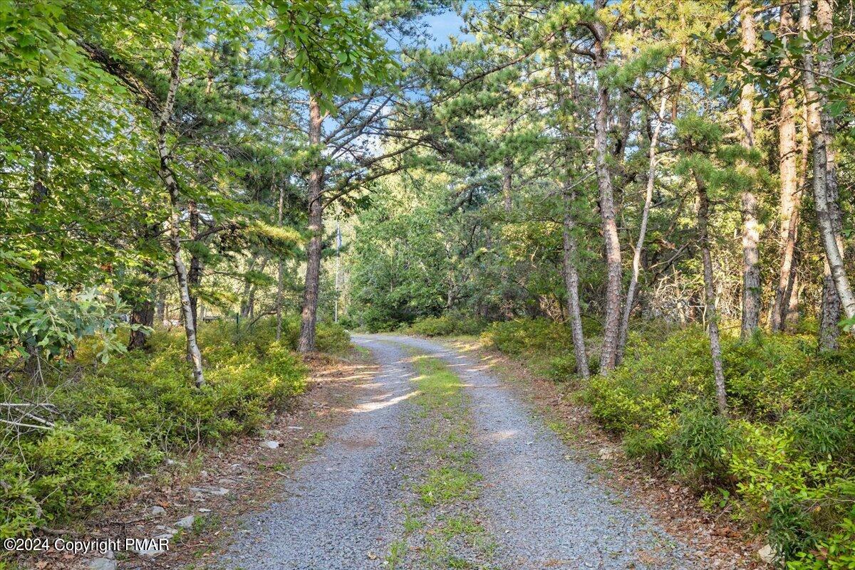 190 Knob Road Mount Pocono, PA 18344 - Photo 13 of 37 a pathway of a yard
