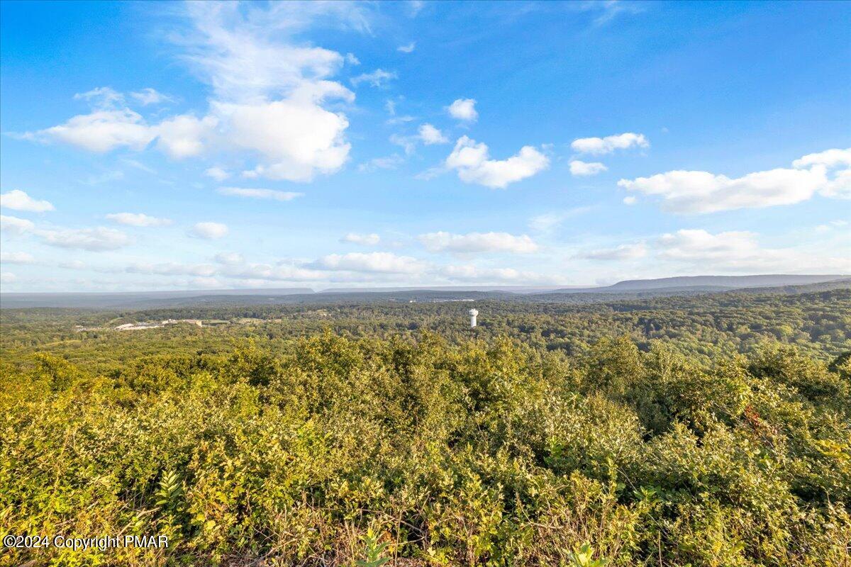 190 Knob Road Mount Pocono, PA 18344 - Photo 15 of 37