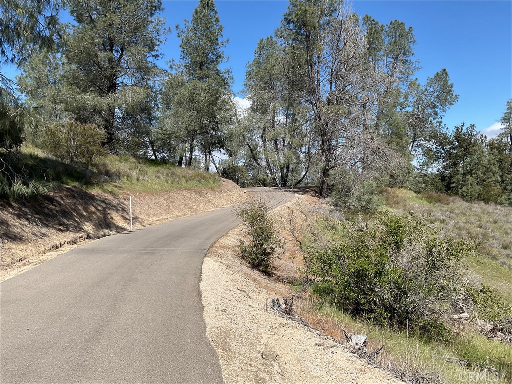 76340 Bryson Hesperia Road Bradley, CA 93426 - Photo 12 of 17