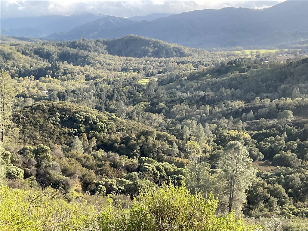 76340 Bryson Hesperia Road Bradley, CA 93426 - Photo 13 of 17