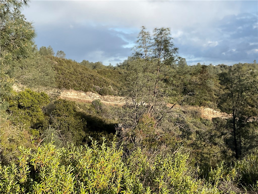 76340 Bryson Hesperia Road Bradley, CA 93426 - Photo 14 of 17