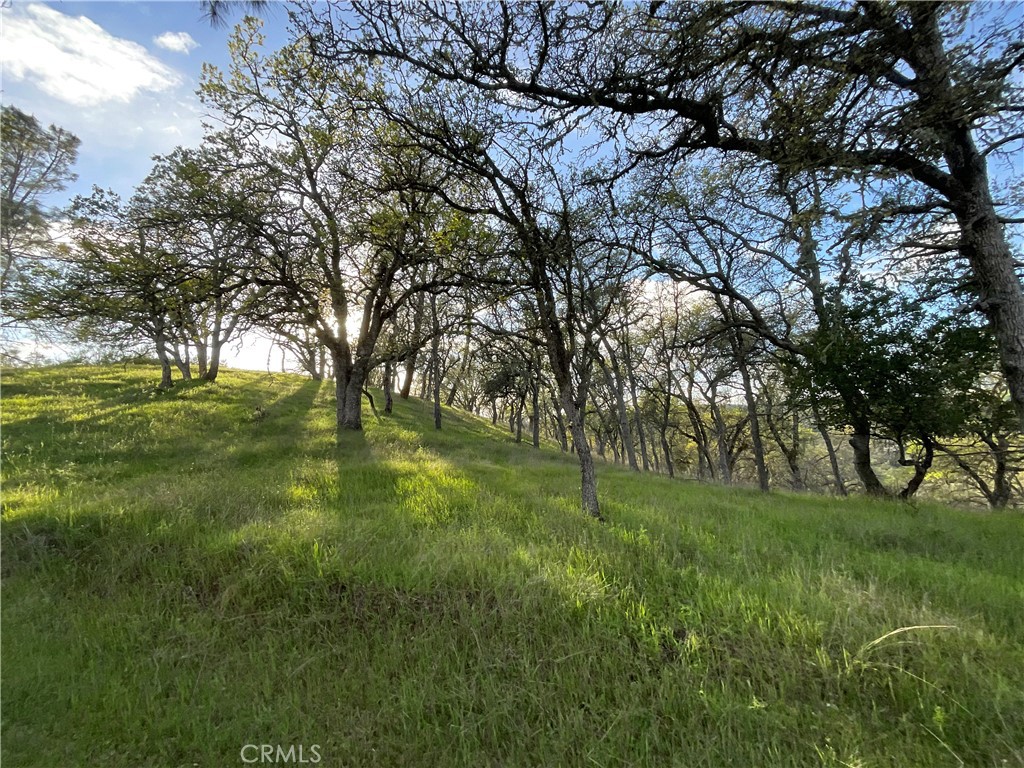 76340 Bryson Hesperia Road Bradley, CA 93426 - Photo 17 of 17