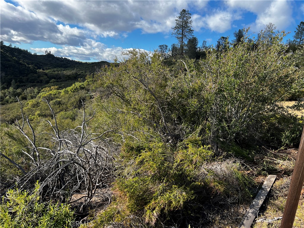 76340 Bryson Hesperia Road Bradley, CA 93426 - Photo 6 of 17