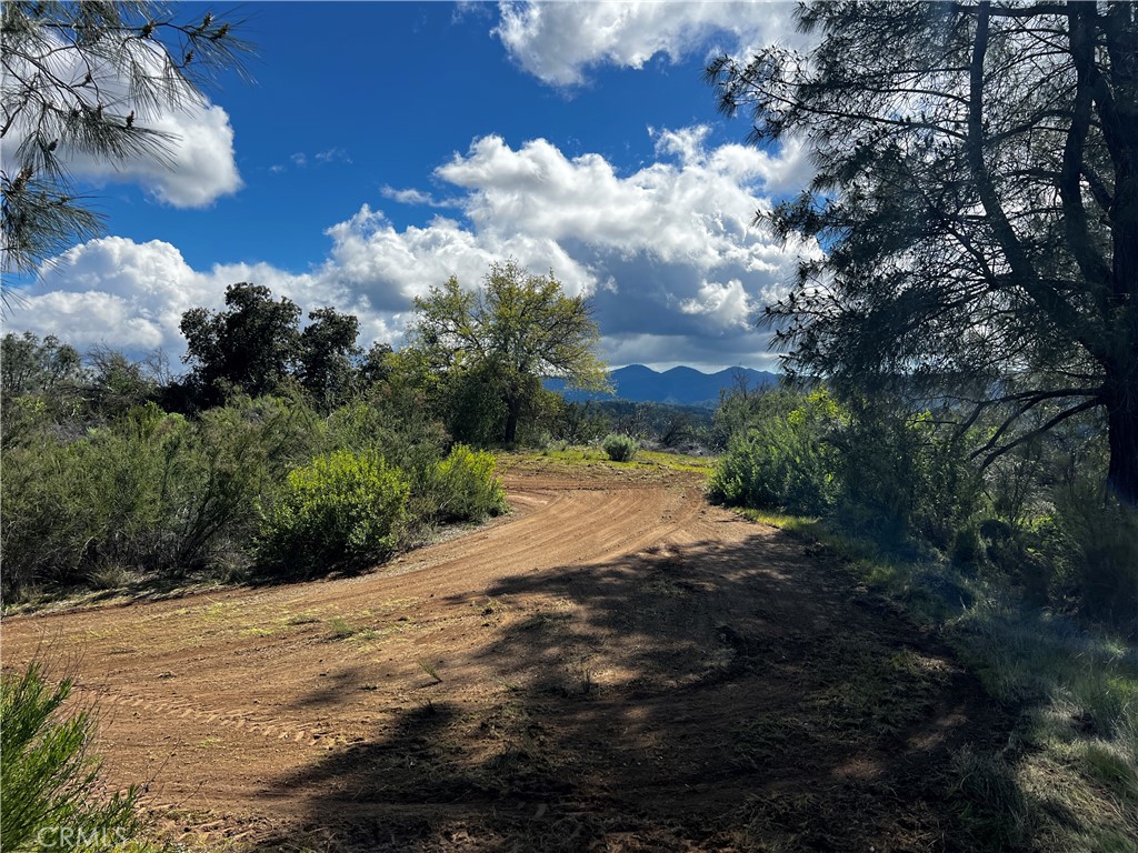 76340 Bryson Hesperia Road Bradley, CA 93426 - Photo 8 of 17