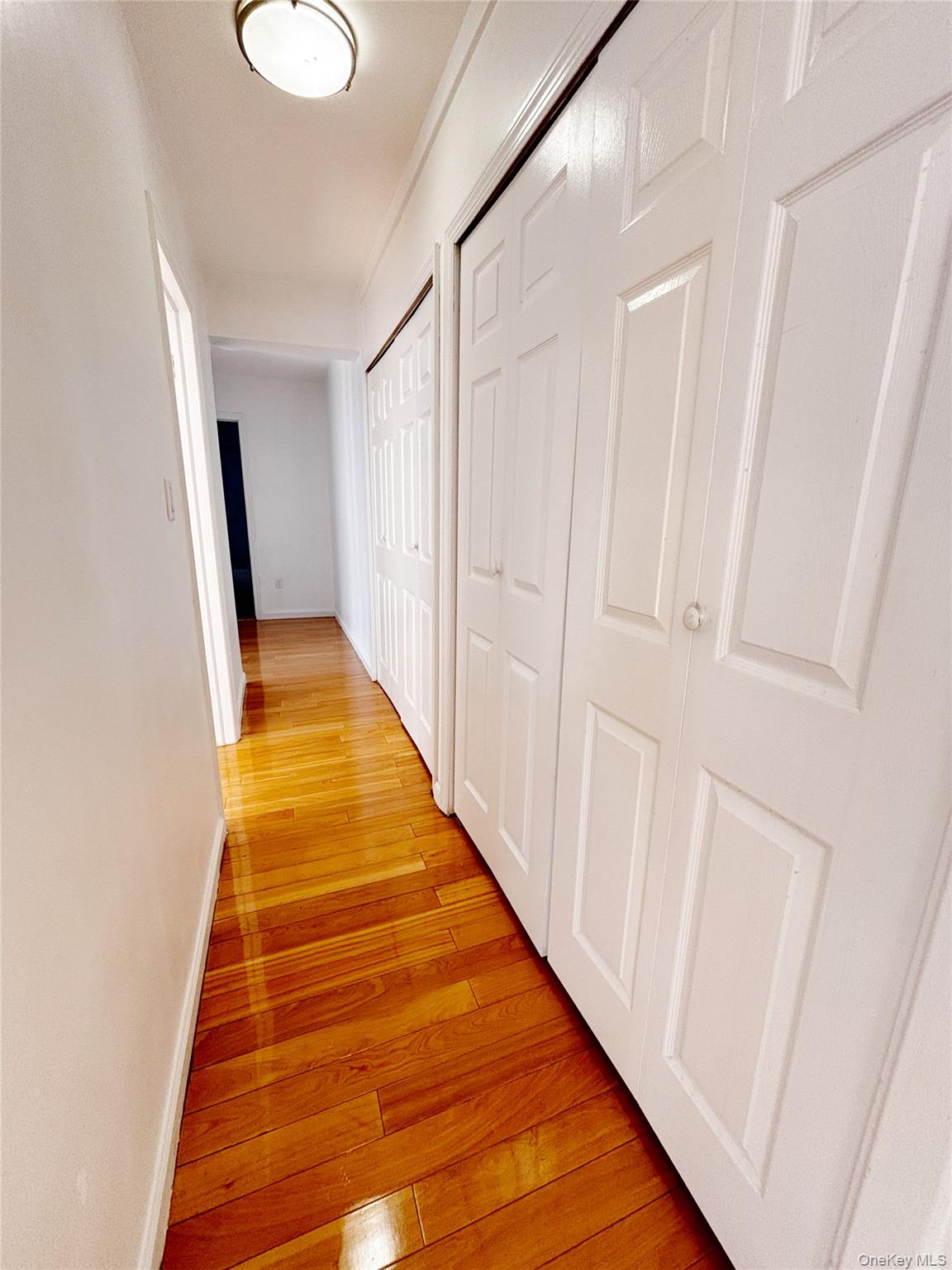 44-25 Macnish Street, Unit 4A Queens, NY 11373 - Photo 11 of 12 Corridor featuring light wood-style flooring and baseboards