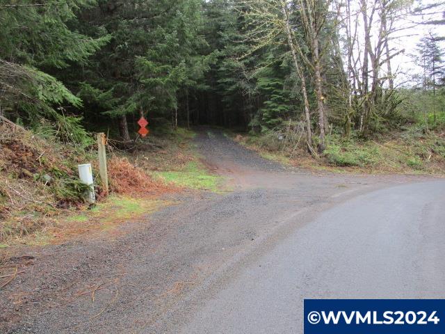0 Zurfluh Road Scio, OR 97374 - Photo 10 of 14